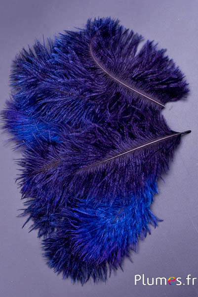 Struzzo barbules - 8-15 cm - rosso